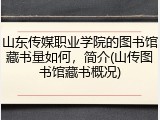 山东传媒职业学院的图书馆藏书量如何，简介(山传图书馆藏书概况)
