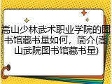 嵩山少林武术职业学院的图书馆藏书量如何，简介(嵩山武院图书馆藏书量)