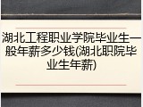 湖北工程职业学院毕业生一般年薪多少钱(湖北职院毕业生年薪)