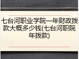 七台河职业学院一年财政拨款大概多少钱(七台河职院年拨款)