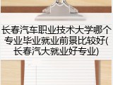 长春汽车职业技术大学哪个专业毕业就业前景比较好(长春汽大就业好专业)