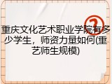 重庆文化艺术职业学院有多少学生，师资力量如何(重艺师生规模)