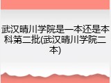 武汉晴川学院是一本还是本科第二批(武汉晴川学院二本)