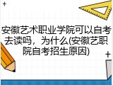 安徽艺术职业学院可以自考去读吗，为什么(安徽艺职院自考招生原因)