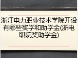 浙江电力职业技术学院开设有哪些奖学和助学金(浙电职院奖助学金)