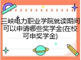 三峡电力职业学院就读期间可以申请哪些奖学金(在校可申奖学金)