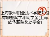 上海欧华职业技术学院开设有哪些奖学和助学金(上海欧华职院奖助学金)