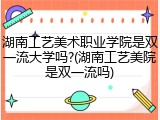 湖南工艺美术职业学院是双一流大学吗?(湖南工艺美院是双一流吗)