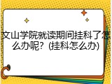 文山学院就读期间挂科了怎么办呢？(挂科怎么办)