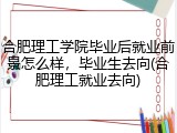合肥理工学院毕业后就业前景怎么样，毕业生去向(合肥理工就业去向)