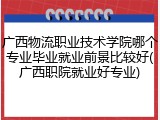 广西物流职业技术学院哪个专业毕业就业前景比较好(广西职院就业好专业)