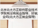 北京北大方正软件职业技术学院有没有就业指导，好就业吗(北大方正就业指导)