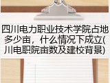 四川电力职业技术学院占地多少亩，什么情况下成立(川电职院亩数及建校背景)