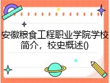 安徽粮食工程职业学院学校简介，校史概述()