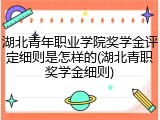 湖北青年职业学院奖学金评定细则是怎样的(湖北青职奖学金细则)