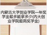 内蒙古大学创业学院一年奖学金最多能拿多少(内大创业学院最高奖学金)