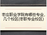 枣庄职业学院有哪些专业，几个校区(枣职专业校区)