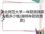 湖北师范大学一年财政拨款大概多少钱(湖师年财政拨款)