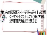 重庆能源职业学院是什么级别，公办还是民办(重庆能源职院性质级别)