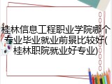 桂林信息工程职业学院哪个专业毕业就业前景比较好(桂林职院就业好专业)