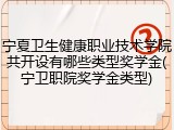 宁夏卫生健康职业技术学院共开设有哪些类型奖学金(宁卫职院奖学金类型)