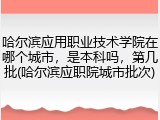 哈尔滨应用职业技术学院在哪个城市，是本科吗，第几批(哈尔滨应职院城市批次)