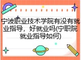 宁波职业技术学院有没有就业指导，好就业吗(宁职院就业指导如何)