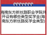 海南东方新丝路职业学院共开设有哪些类型奖学金(海南东方新丝路奖学金类型)