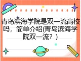 青岛滨海学院是双一流高校吗，简单介绍(青岛滨海学院双一流？)