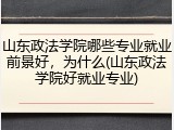 山东政法学院哪些专业就业前景好，为什么(山东政法学院好就业专业)