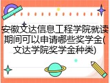 安徽文达信息工程学院就读期间可以申请哪些奖学金(文达学院奖学金种类)