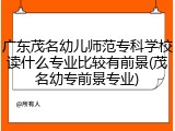 广东茂名幼儿师范专科学校读什么专业比较有前景(茂名幼专前景专业)
