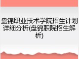 盘锦职业技术学院招生计划详细分析(盘锦职院招生解析)