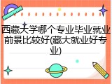 西藏大学哪个专业毕业就业前景比较好(藏大就业好专业)