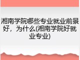 湘南学院哪些专业就业前景好，为什么(湘南学院好就业专业)