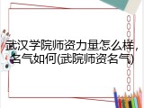 武汉学院师资力量怎么样，名气如何(武院师资名气)