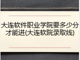 大连软件职业学院要多少分才能进(大连软院录取线)