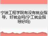 宁波工程学院有没有就业指导，好就业吗(宁工就业指导好吗)