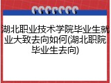 湖北职业技术学院毕业生就业大致去向如何(湖北职院毕业生去向)
