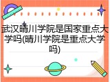 武汉晴川学院是国家重点大学吗(晴川学院是重点大学吗)