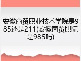 安徽商贸职业技术学院是985还是211(安徽商贸职院是985吗)