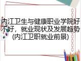 内江卫生与健康职业学院好不好，就业现状及发展趋势(内江卫职就业前景)