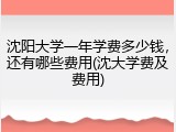 沈阳大学一年学费多少钱，还有哪些费用(沈大学费及费用)