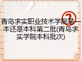 青岛求实职业技术学院是一本还是本科第二批(青岛求实学院本科批次)