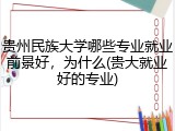 贵州民族大学哪些专业就业前景好，为什么(贵大就业好的专业)