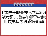 山东电子职业技术学院能不能考研，成绩在哪里查询(山东电院考研成绩查询)