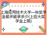 上海应用技术大学一年奖学金最多能拿多少(上应大奖学金上限)