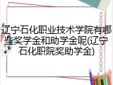 辽宁石化职业技术学院有哪些奖学金和助学金呢(辽宁石化职院奖助学金)