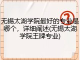 无锡太湖学院最好的专业是哪个，详细阐述(无锡太湖学院王牌专业)