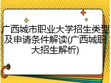 广西城市职业大学招生类型及申请条件解读(广西城职大招生解析)